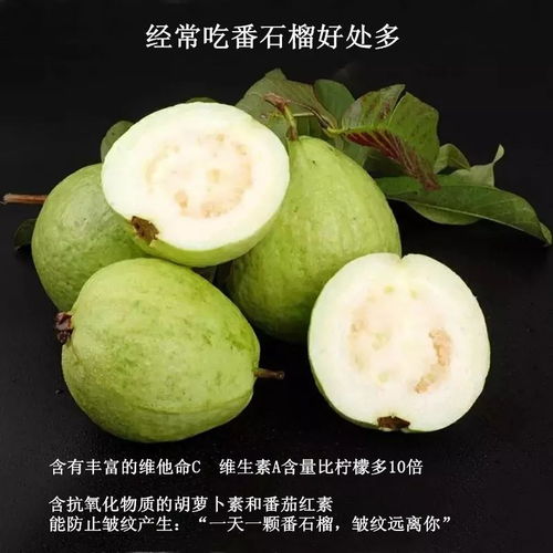 街坊福利 一元試吃南沙萬(wàn)傾沙清甜爽口 高品質(zhì)的水果,新鮮 好吃,很多專(zhuān)業(yè)水果連鎖銷(xiāo)售公司都來(lái)這里大量采購(gòu)